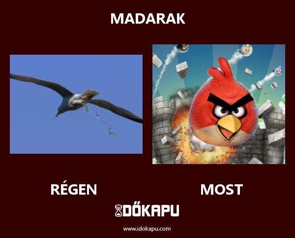 Madarak
 
 title=