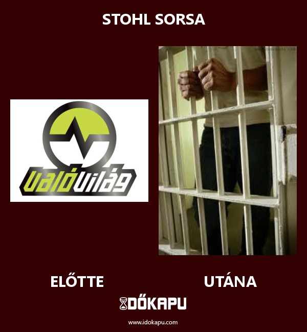 Stohl sorsa
 
 title=