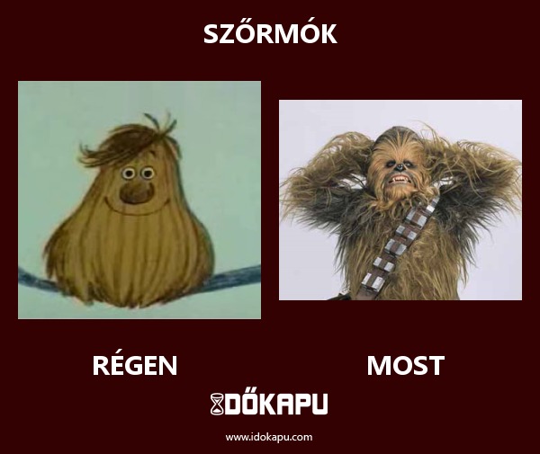 Szőrmók
 
 title=
