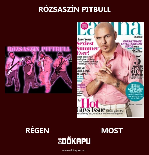 Rózsaszín pitbull
 
 title=