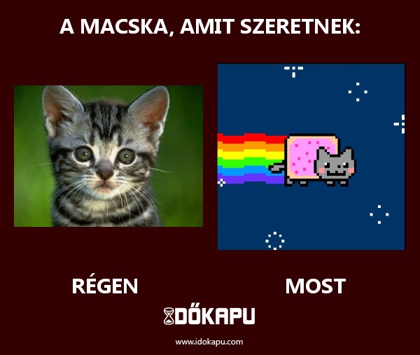 A macska, amit szeretnek:
 
 title=