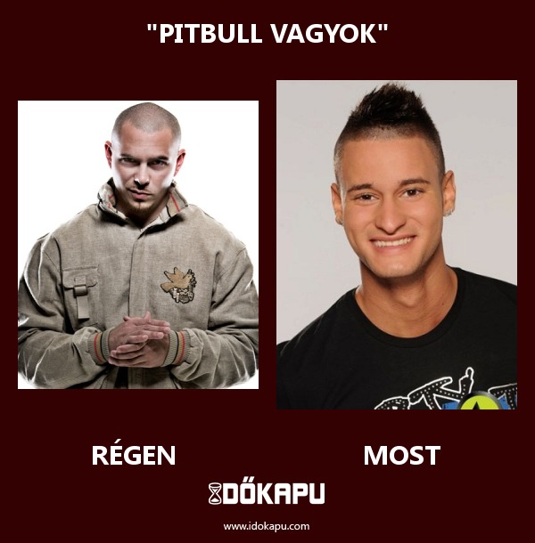 "Pitbull vagyok"
 
 title=