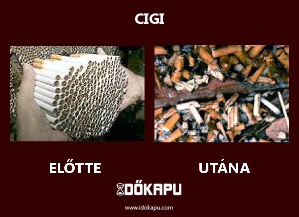 Cigi
 
 title=