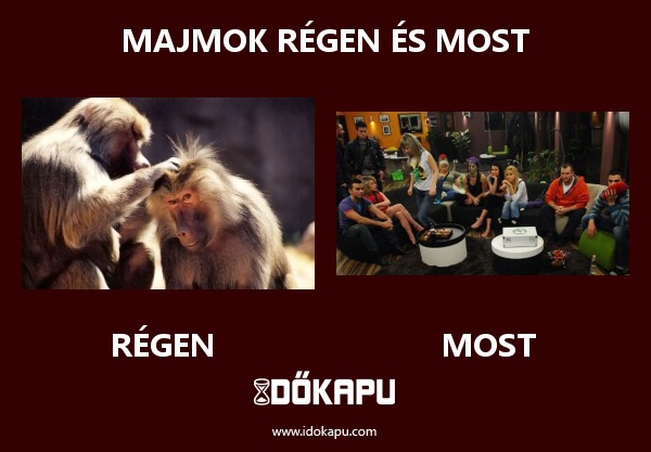 Majmok régen és most
 
 title=