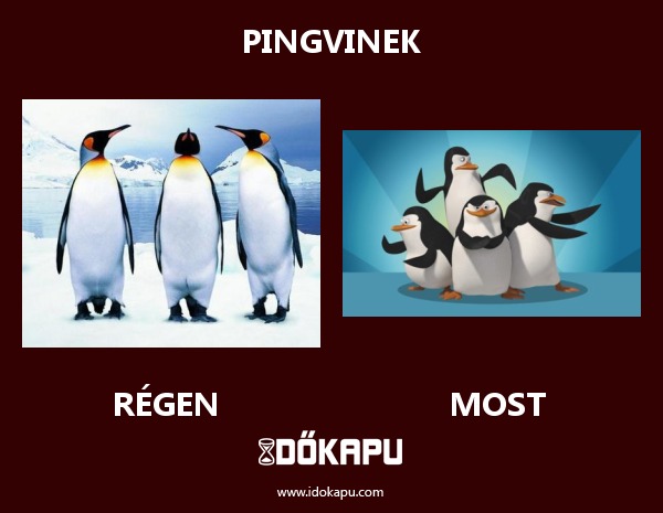 Pingvinek
 
 title=