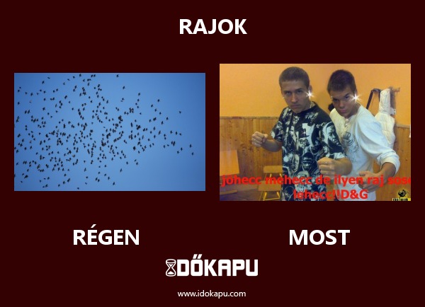 Rajok
 
 title=