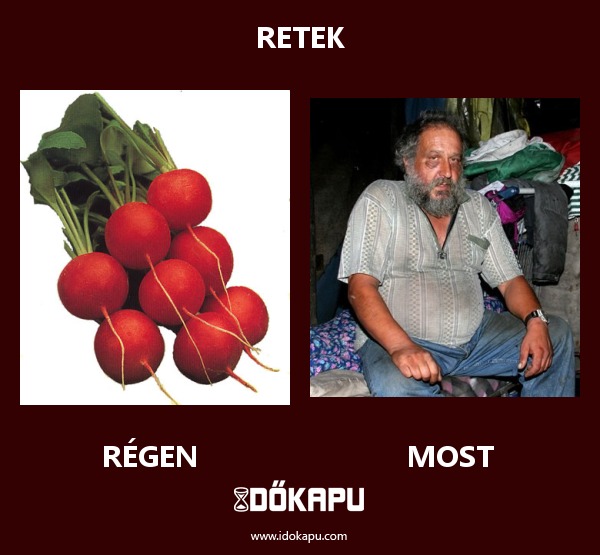 Retek
 
 title=