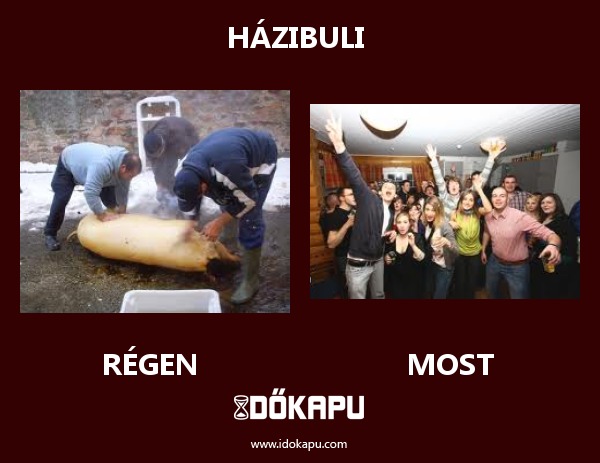 Házibuli 
 
 title=