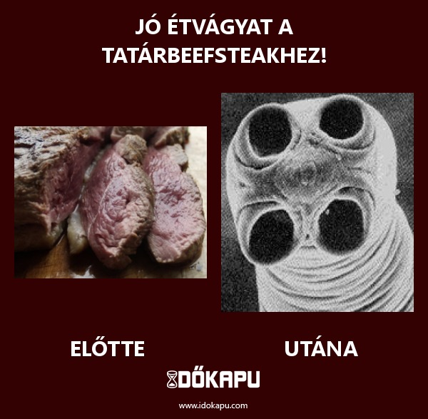 Jó étvágyat a tatárbeefsteakhez!
title=