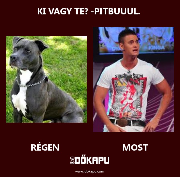 ki vagy te? -pitbuuul. 
 
 title=