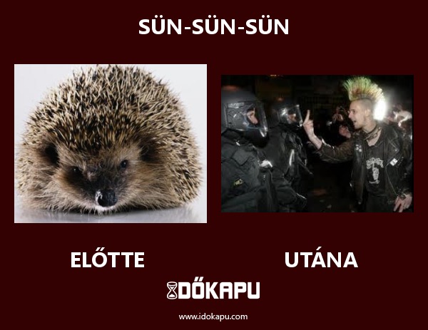 Sün-Sün-Sün
title=