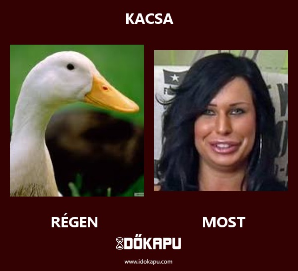 Kacsa
 
 title=