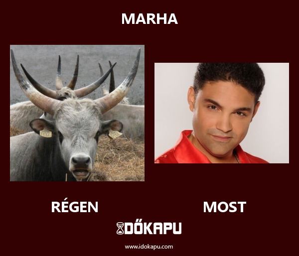 Marha
 
 title=