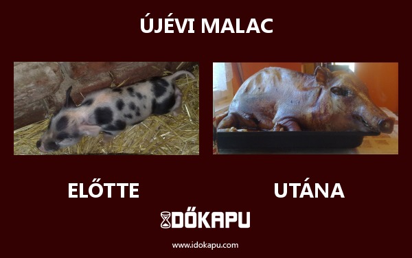 Újévi malac
 
 title=