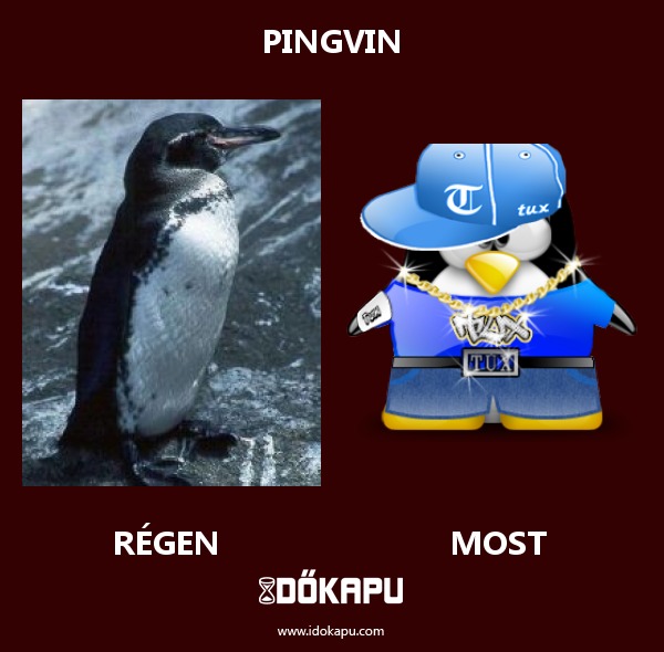 Pingvin
 
 title=