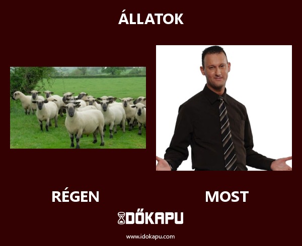 állatok
title=