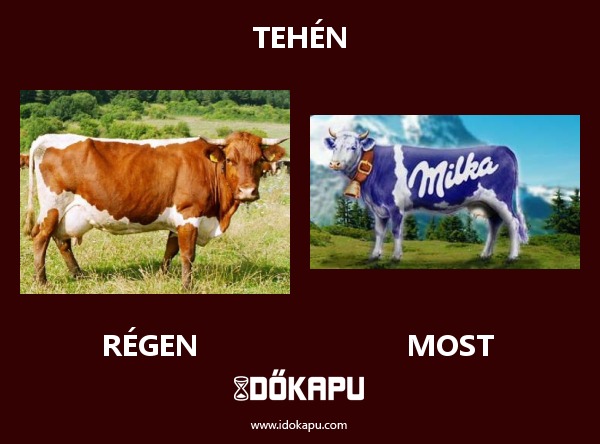 Tehén
 
 title=