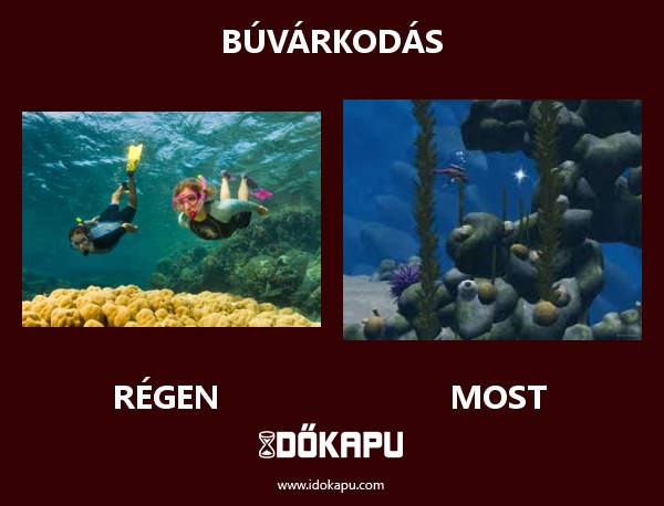 Búvárkodás
 
 title=