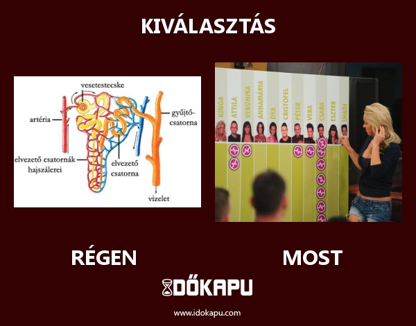 Kiválasztás
title=