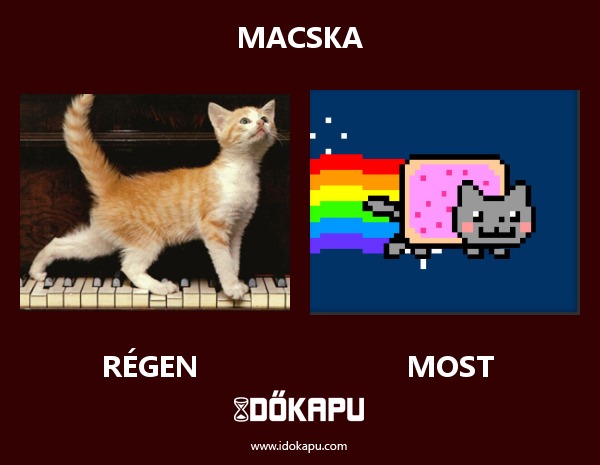 macska
 
 title=