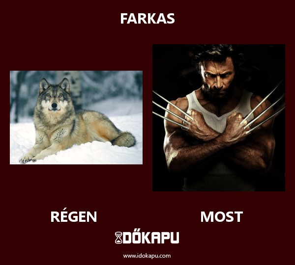 Farkas
 
 title=