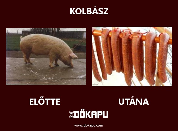 KOLBÁSZ
 
 title=