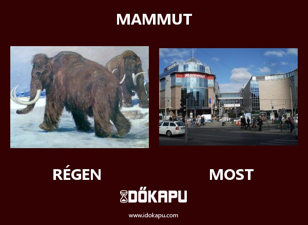 Mammut
 
 title=