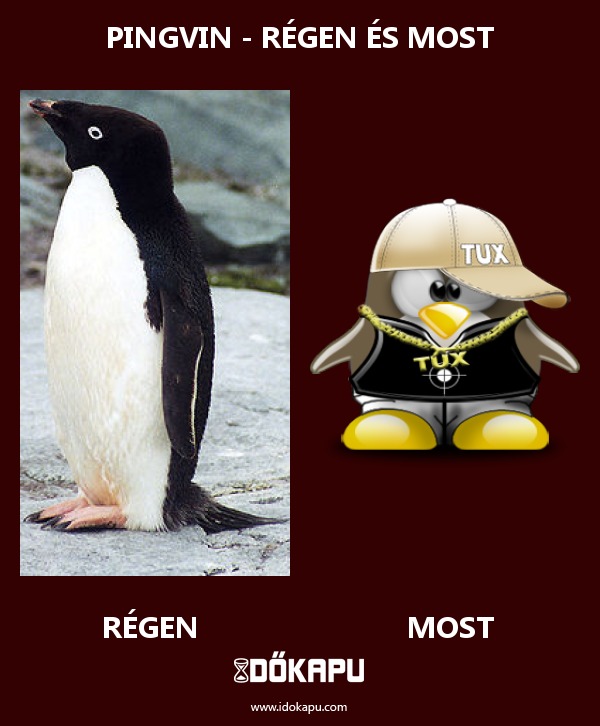 Pingvin - Régen és most
 
 title=