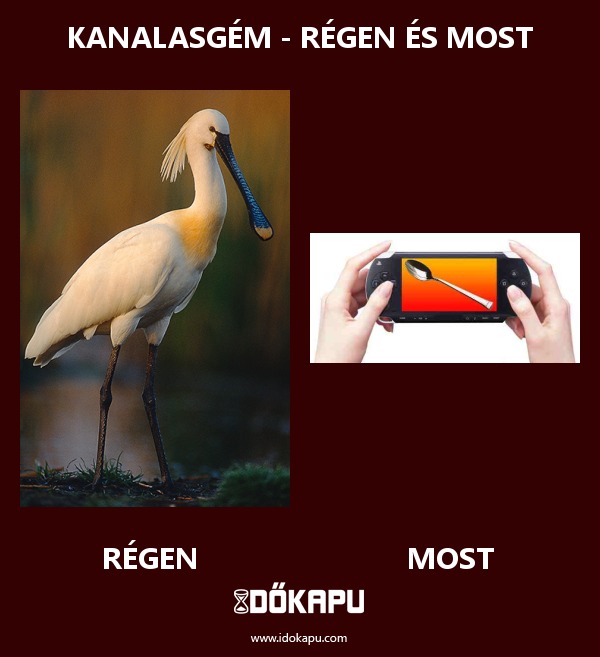 Kanalasgém - régen és most
title=