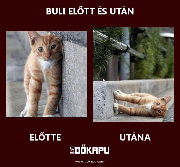 Buli előtt és után
 
 title=