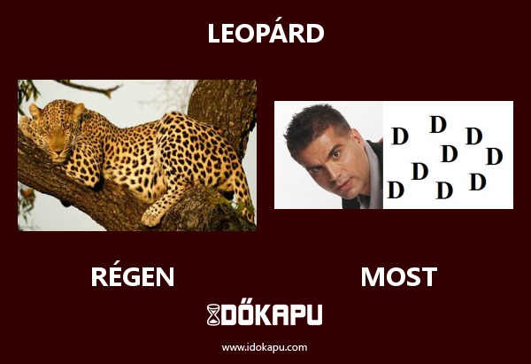 LEOPÁRD
title=