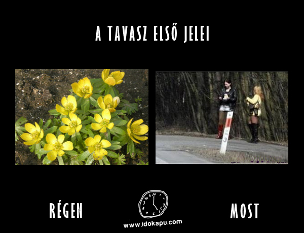 A tavasz első jelei
 
 title=